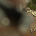 chloe-moretzorg-845.jpg