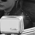 Coach_282029.jpg