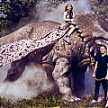 Harper_s_Bazaar_USA_December_28429.jpg